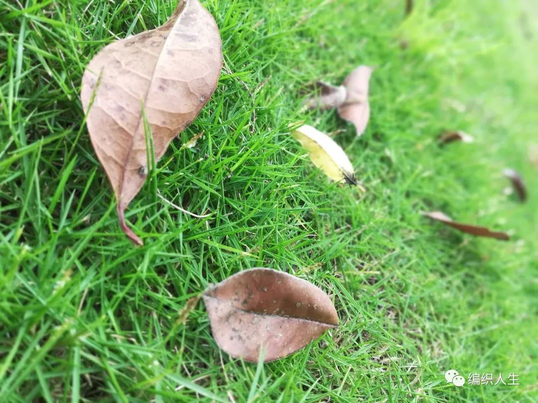 粗蕾丝线钩针编织夏季开衫,钩针蕾丝长款开衫图解