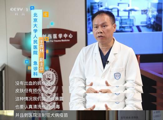 被动物咬伤或抓伤处理方法及顺序,动物抓伤咬伤