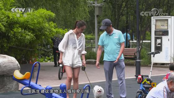 被动物咬伤或抓伤处理方法及顺序,动物抓伤咬伤