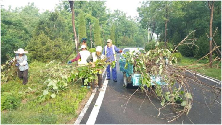 花山公园建设时间,花山公园改造投入