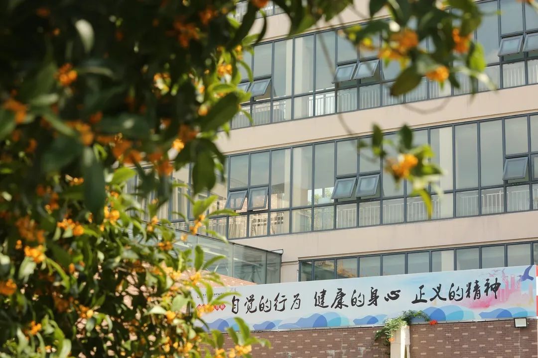 滨江多思创新学校,滨江学校全部排名