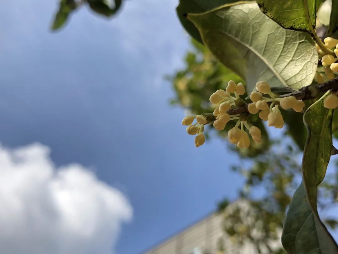 滨江多思创新学校,滨江学校全部排名