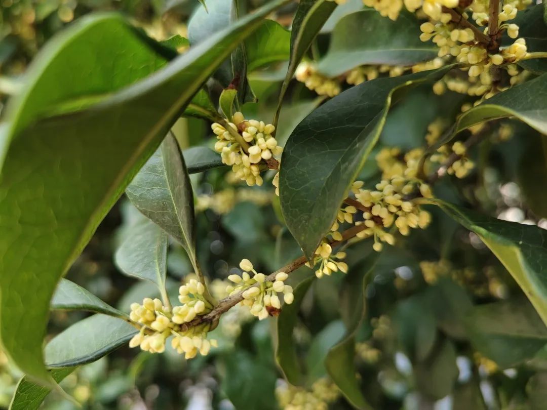 滨江多思创新学校,滨江学校全部排名