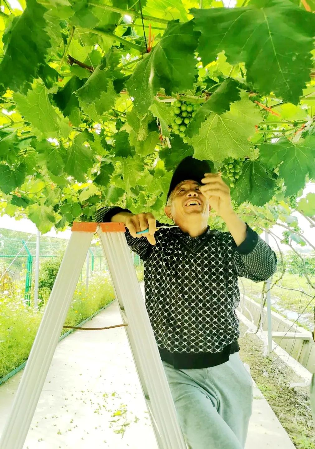 孙俪周冬雨angelababy,孙俪angelababy邓超