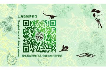 张掖彩虹山是丹霞地貌吗,张掖丹霞地貌观景台简介