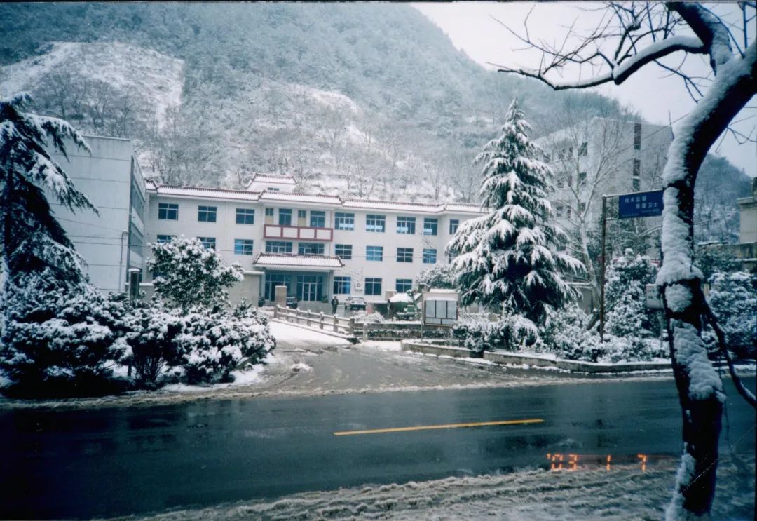 老照片新昌县,老照片老物件征集