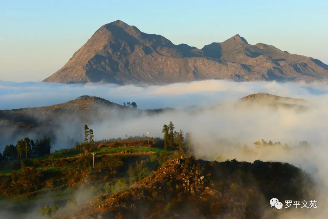 黄永国,黄永国艺术签名设计