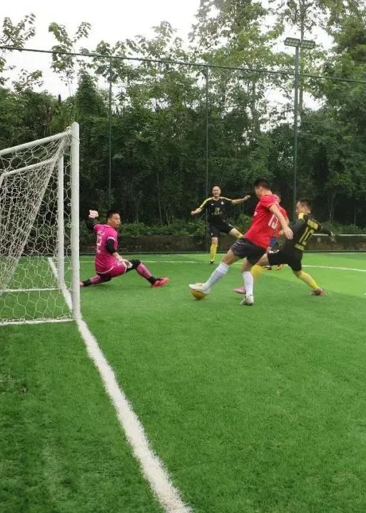 青白江美景,青白江风景美景