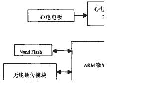 arm9有哪些应用,arm9多少位