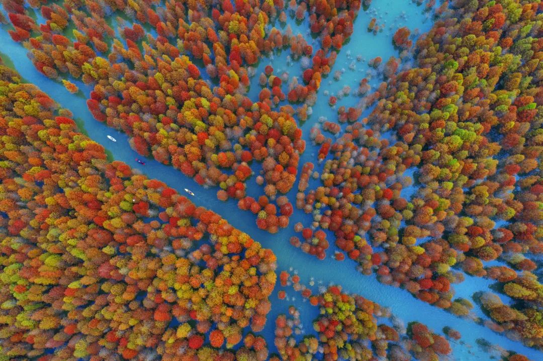 值得一去的小众旅游景点安徽篇 (300条乡村游精品线路任你选安徽篇)