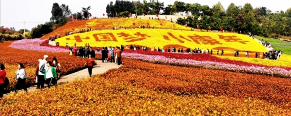 秋天的秦皇岛有多美？摄影家用镜头告诉你