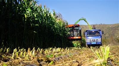 西宁助力脱贫攻坚,青海脱贫攻坚的过程