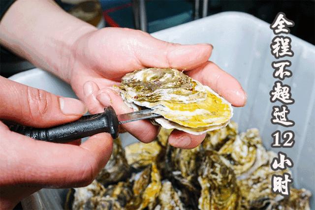 南宁三天美食逛吃节免费领票,南宁全城免单