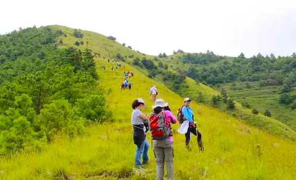 重阳关爱老人暖人心,重阳节陪伴是最好的孝心