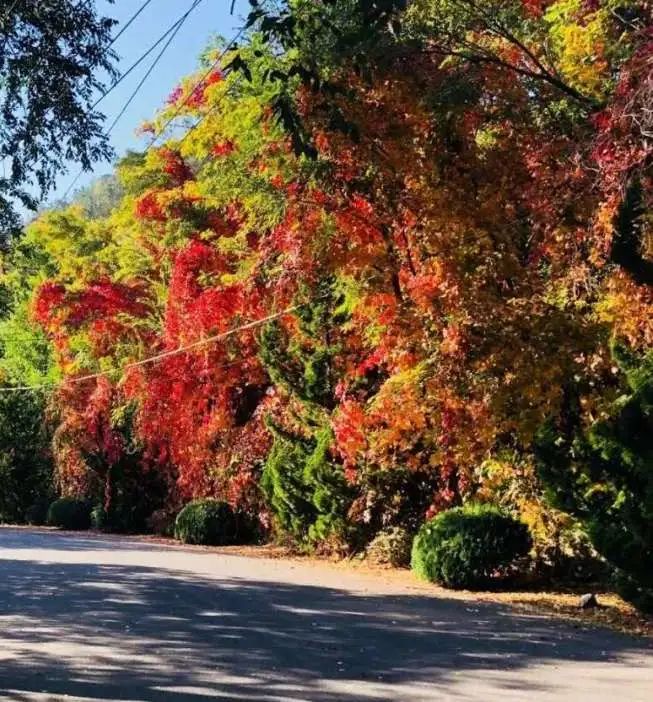 赏秋小众景点推荐,川西赏秋旅游景点