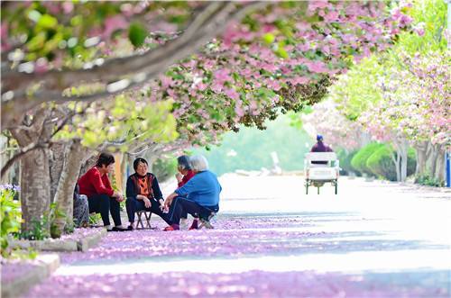齐心鲁力|烟台莱阳:生态濯村的幸福蝶变