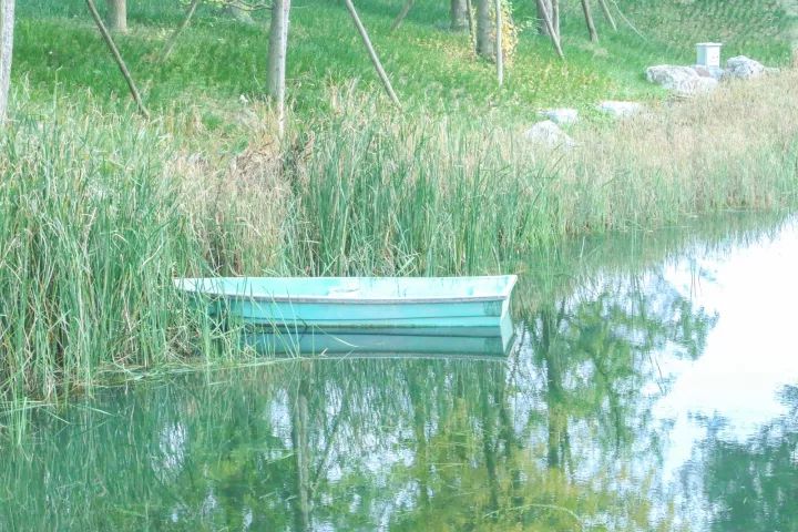 成都1100个公园俯瞰,成都100个公园规划图