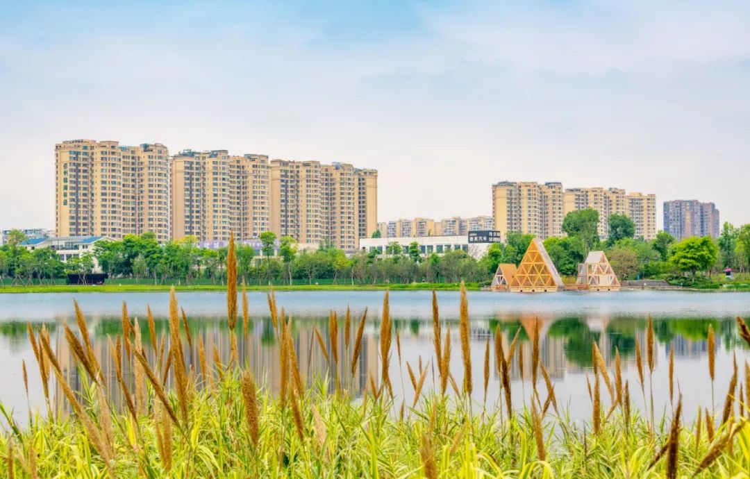 成都1100个公园俯瞰,成都100个公园规划图