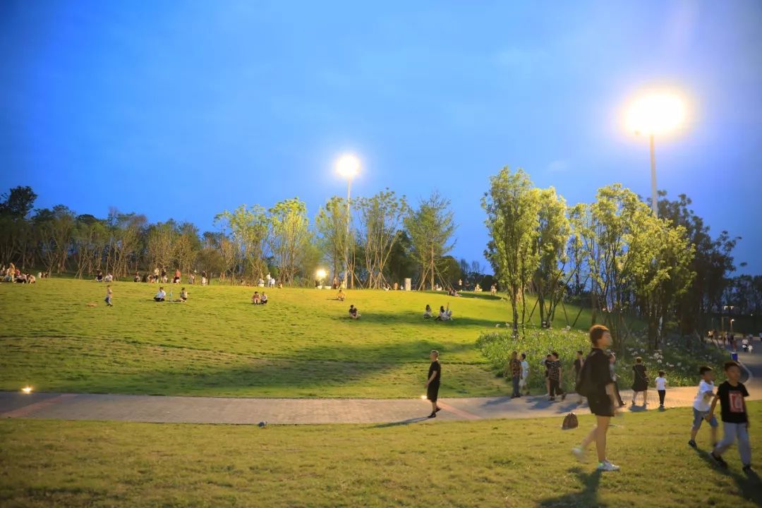 成都1100个公园俯瞰,成都100个公园规划图