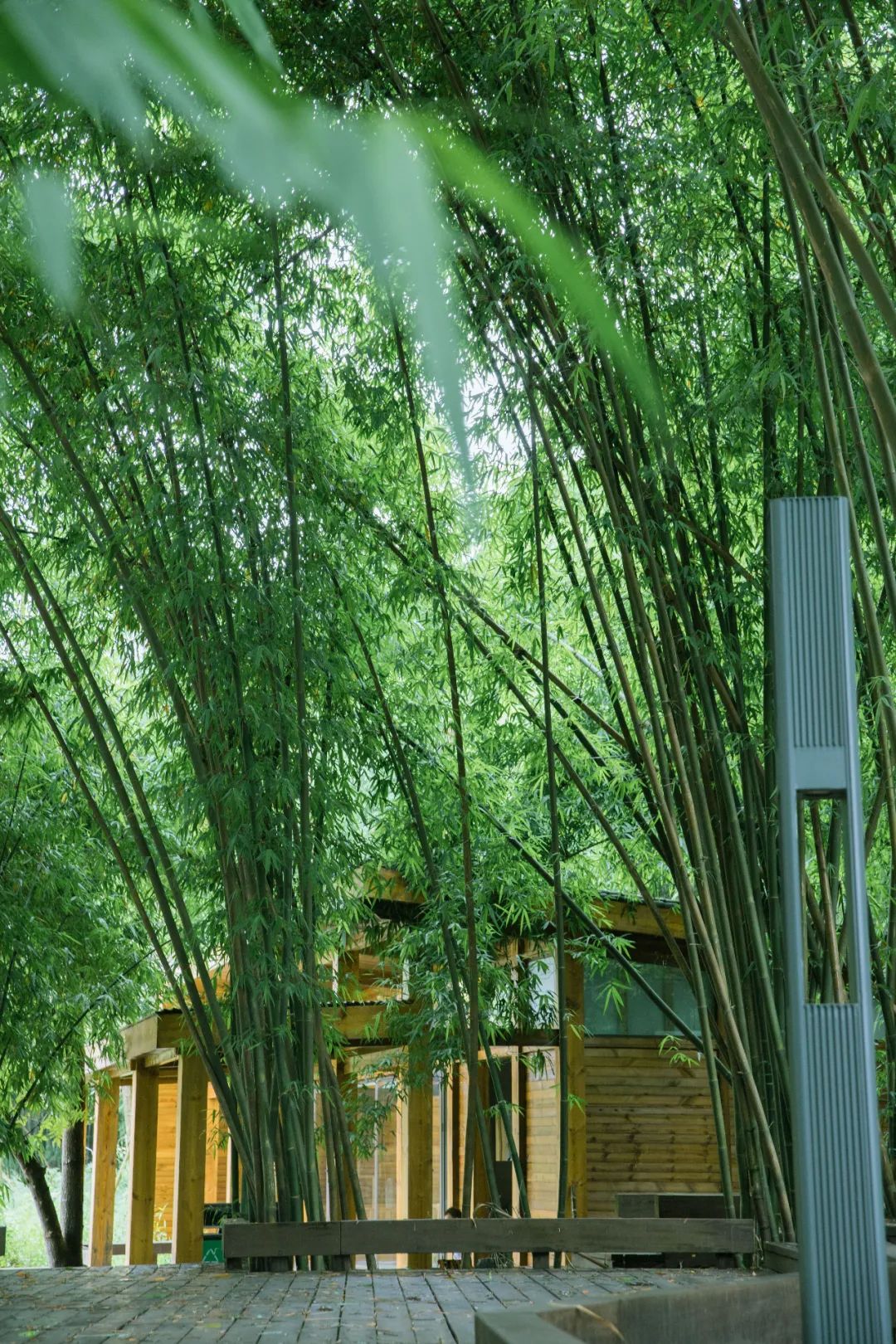 成都1100个公园俯瞰,成都100个公园规划图