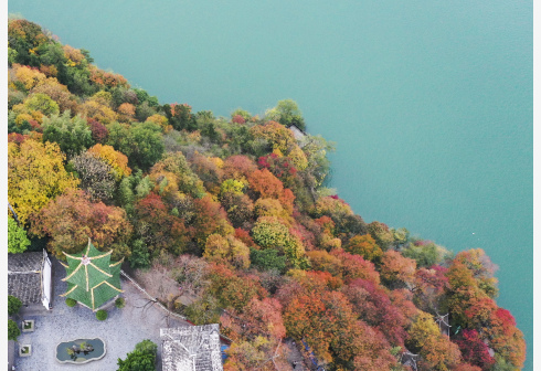 诗词行旅（2）丨诗意长江：独领风骚三千年