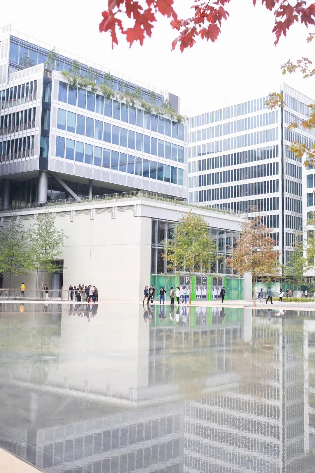 探店上海首家茑屋书店遇见一家,提前探店上海首家茑屋书店将开业