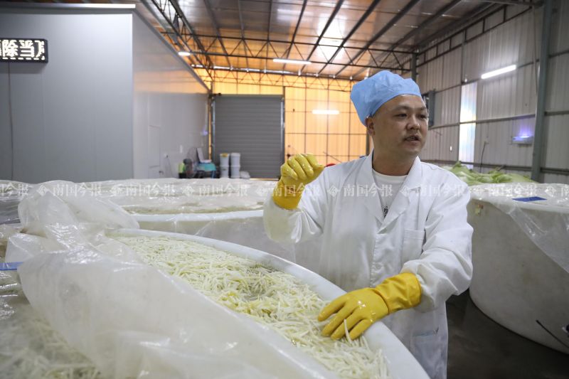 酸笋闻臭师年收入,酸笋闻臭师