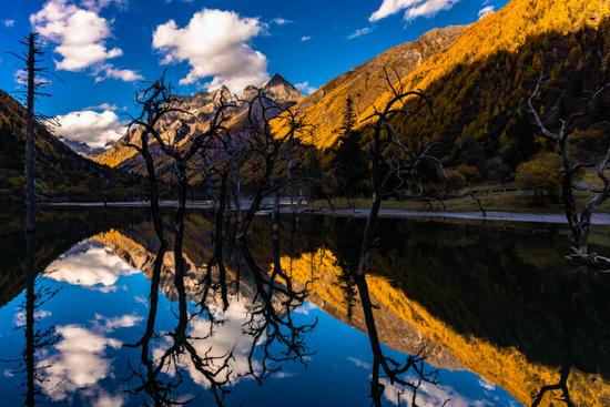 四姑娘山7-9月的风景,错过四姑娘山的秋天