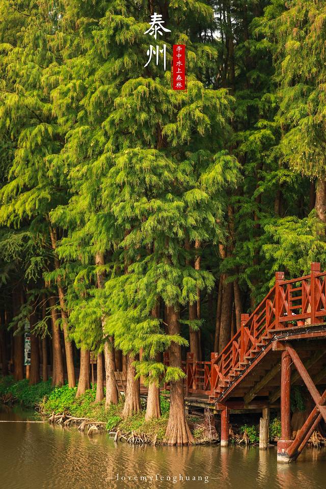 泰州水城有什么好玩,水城泰州