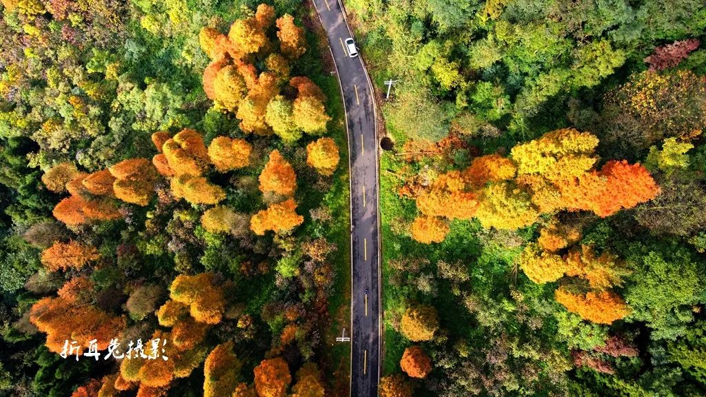初秋彩林成都周边秘境,成都附近彩林秘境