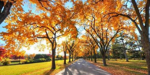 咸阳气候宜人,阳光美景天气好