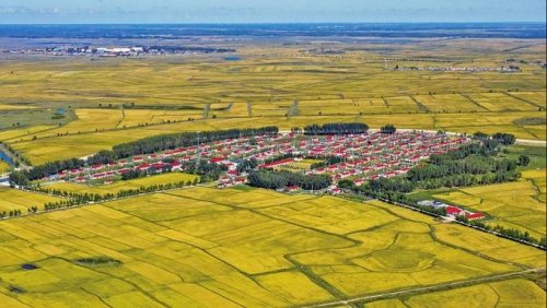 白城市脱贫攻坚,白城奋力拼搏