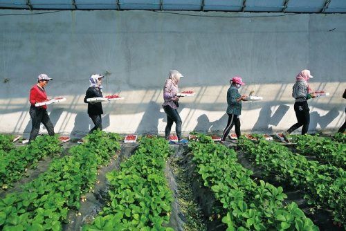 白城市脱贫攻坚,白城奋力拼搏