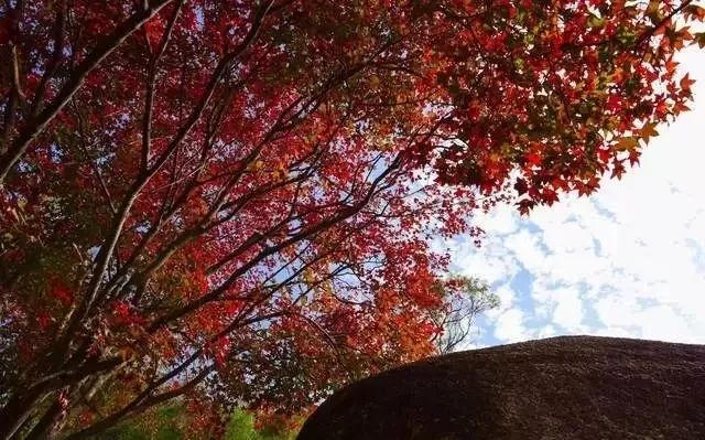 爬厦门仙灵旗,厦门周边登高望远的地方