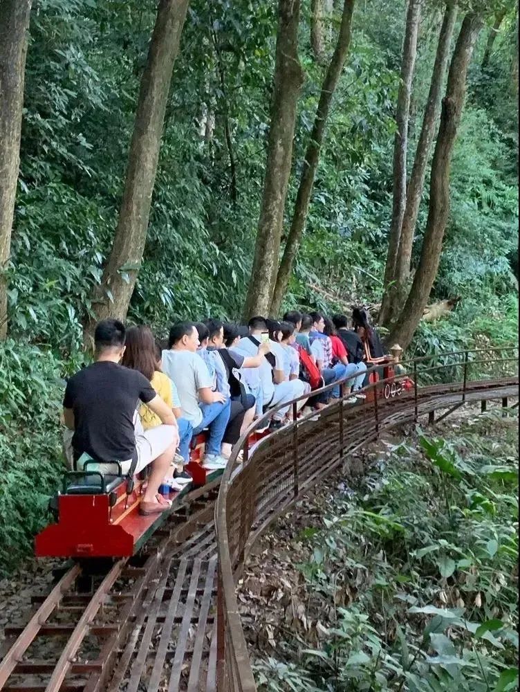 爬厦门仙灵旗,厦门周边登高望远的地方