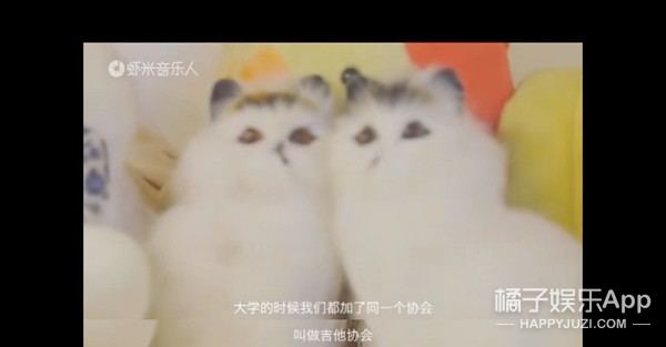 房东的猫云烟成雨演唱会合唱成都,房东的猫云烟成雨演唱会合唱