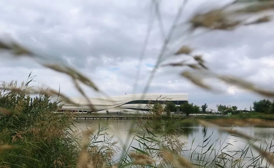 宁夏适合3-4月份旅游,宁夏的秋天