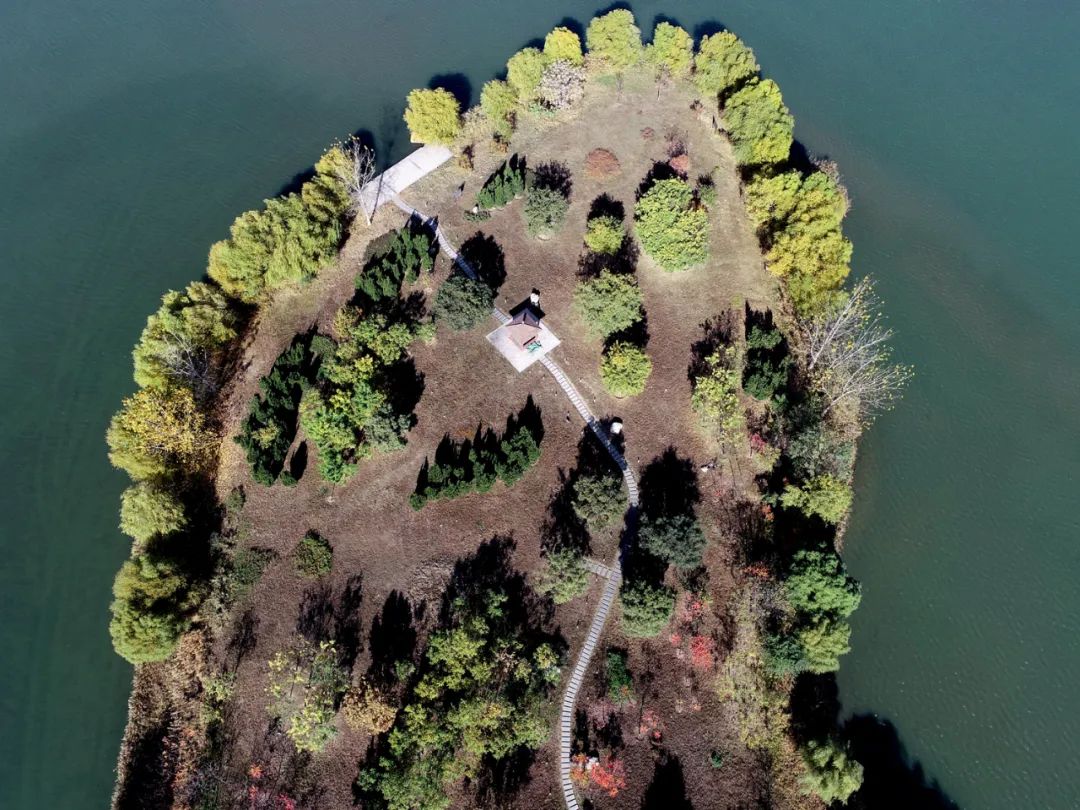 白蜡树下人如潮，勿忘城中多妖娆！你身边还有这些网红打卡地→