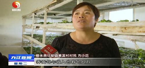 修水马坳,江西省修水县马坳