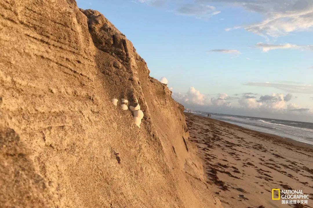 新冠肆虐,新冠在东南亚持续肆虐