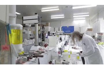 澳洲知名的药房,澳洲药房好物推荐