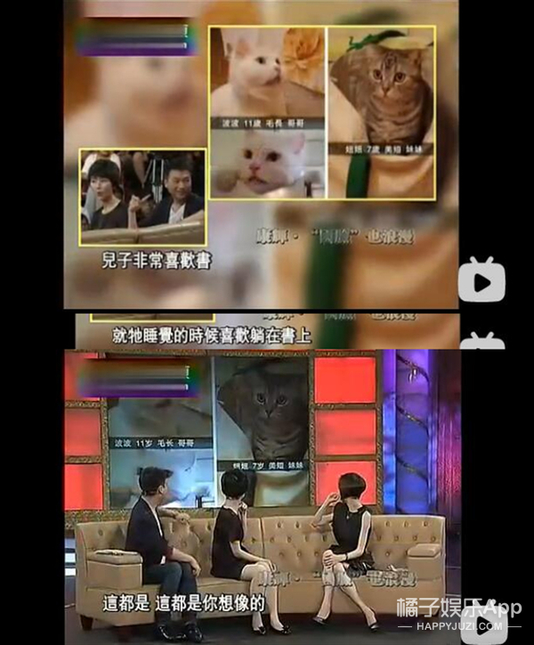 康辉和他老婆情话,康辉给老婆写情书