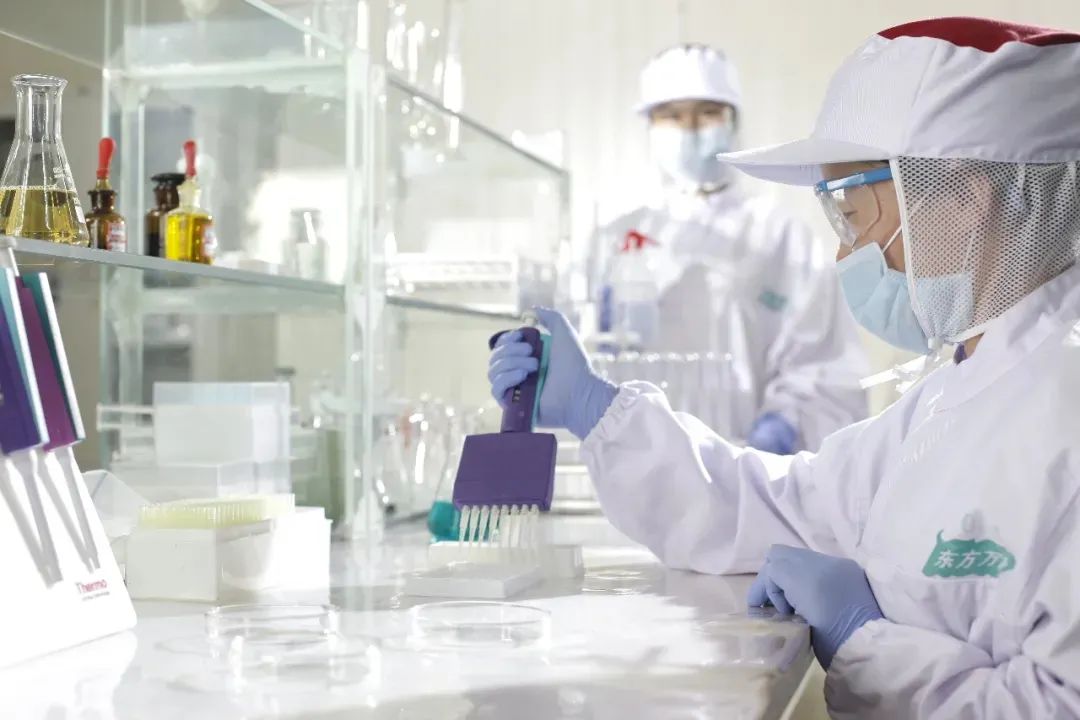 内蒙古赤峰天山的牛,通辽的牛和赤峰的牛区别