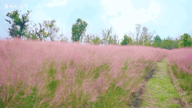 盐城发色,盐城代表颜色