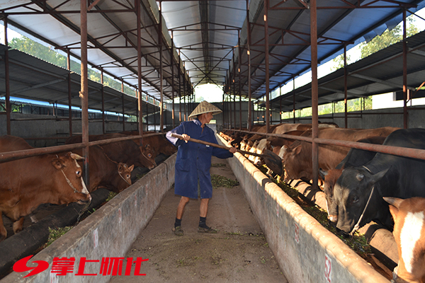 “上靠*党**中央下靠手一双”——新晃侗族自治县聚合内力推进脱贫攻坚纪实