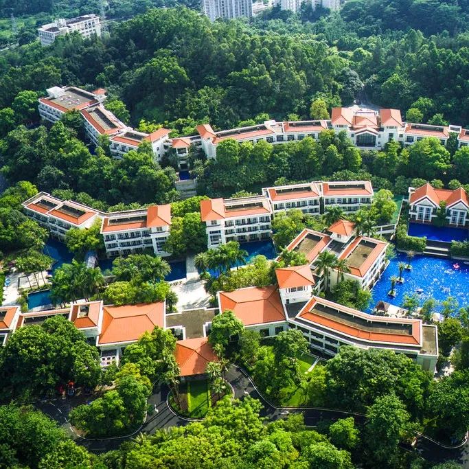 “双十一”提前了！本周末，东莞这里有文旅体大聚会！