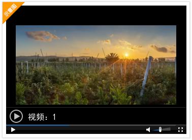 早安，烟台（11月08日）——烟台人自己的新闻早餐