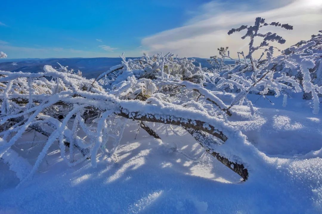 加格达奇映山红滑雪场今年开的吗,黑龙江加格达奇市映山红滑雪场
