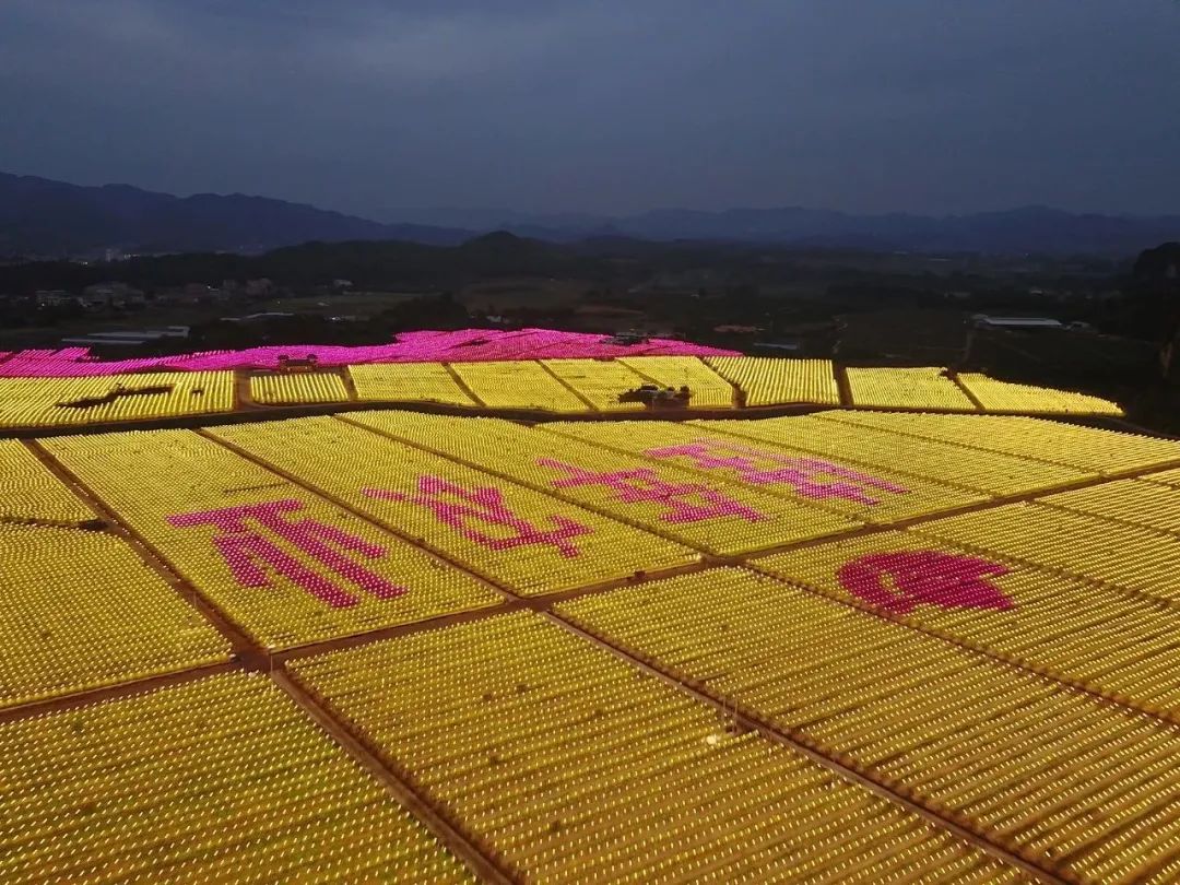 旅游推介路线|旅游+休闲农业体验一日游