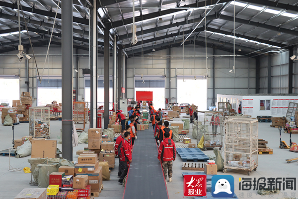 双十一快递临时分拣员,备战双十一快递分拣视频